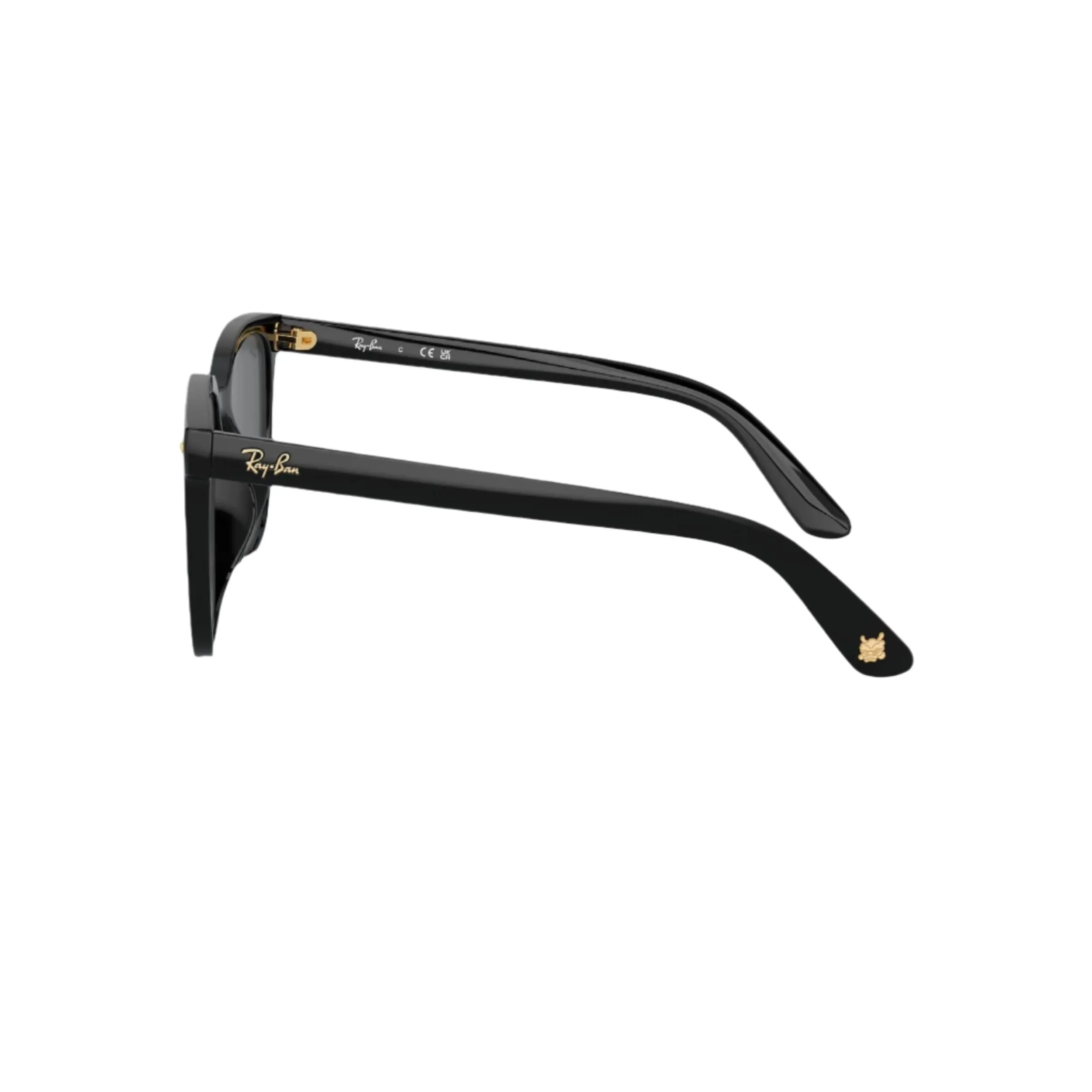 Black RB4401D Sunglasses