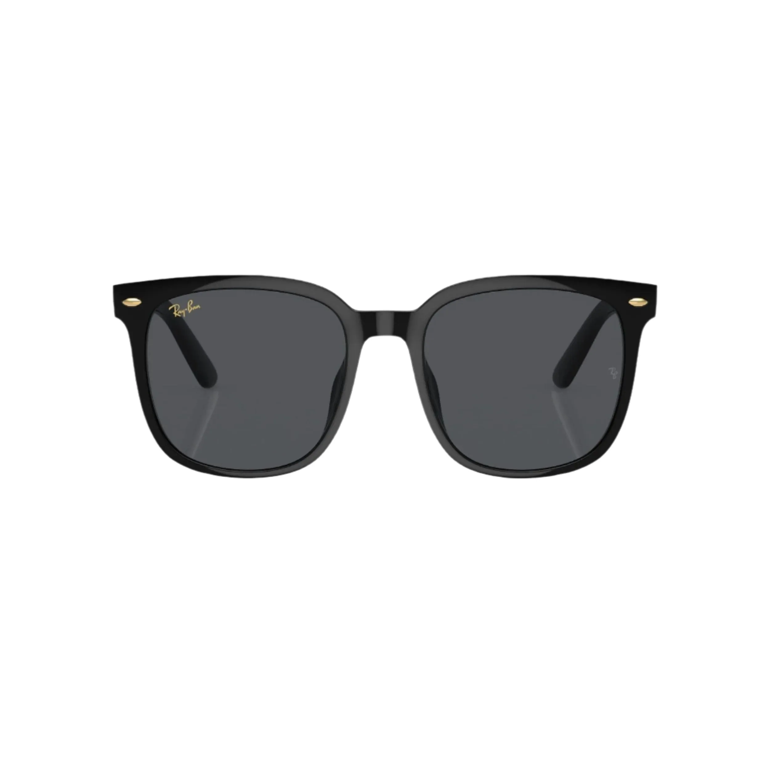 Black RB4401D Sunglasses