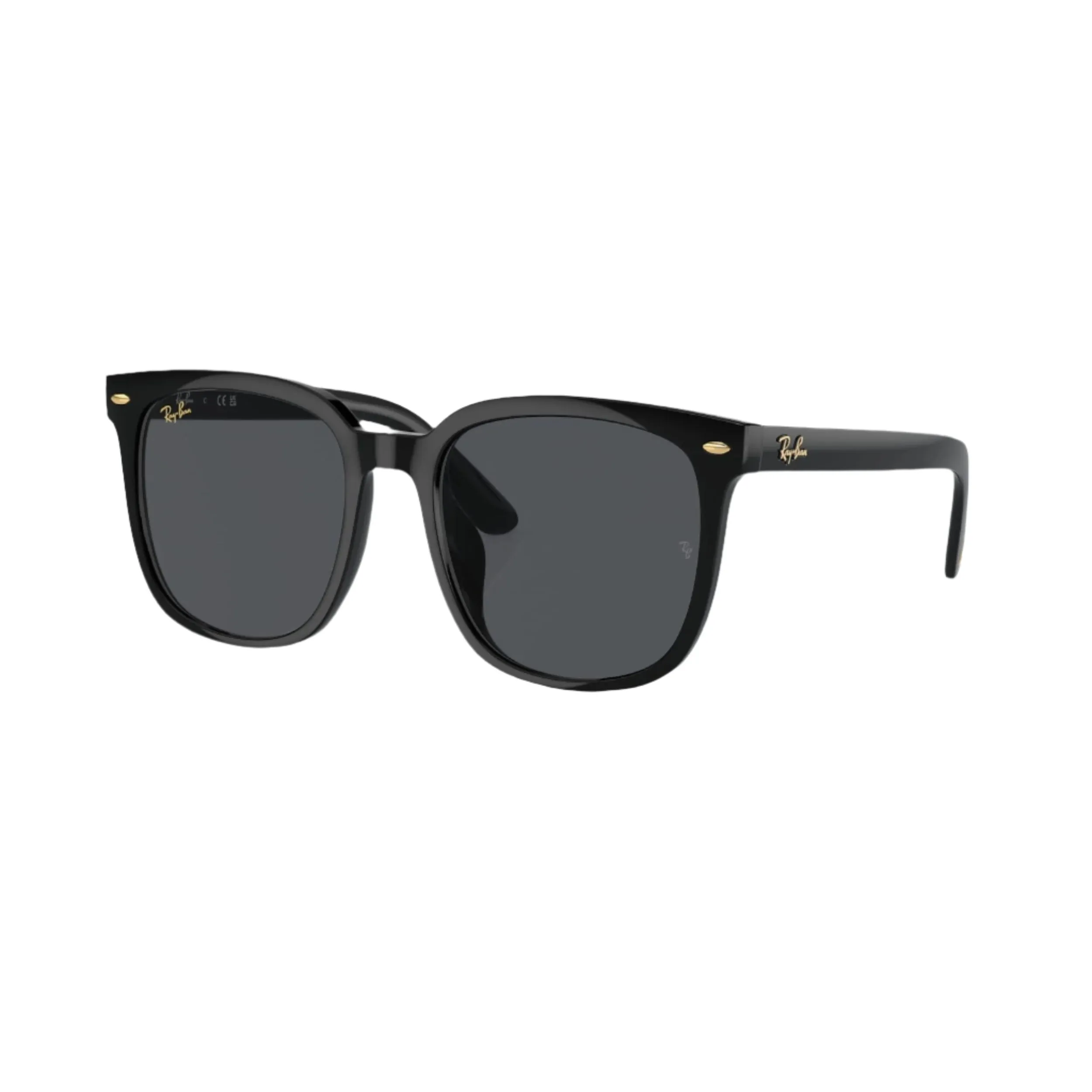 Black RB4401D Sunglasses