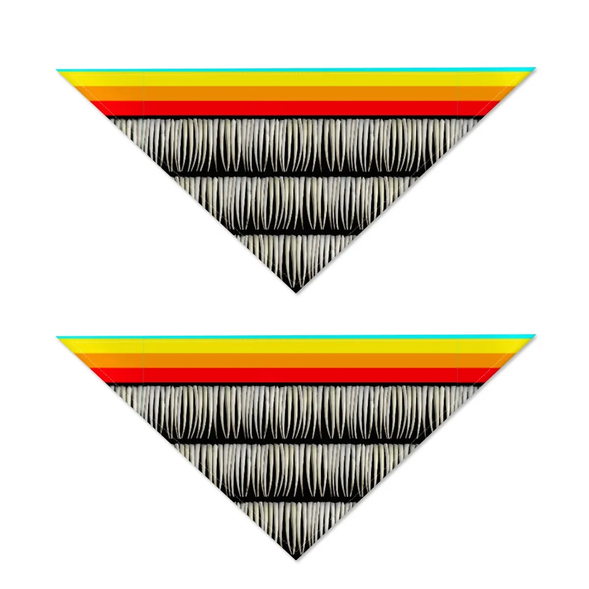 Dentalium on Black Pet's Scarf