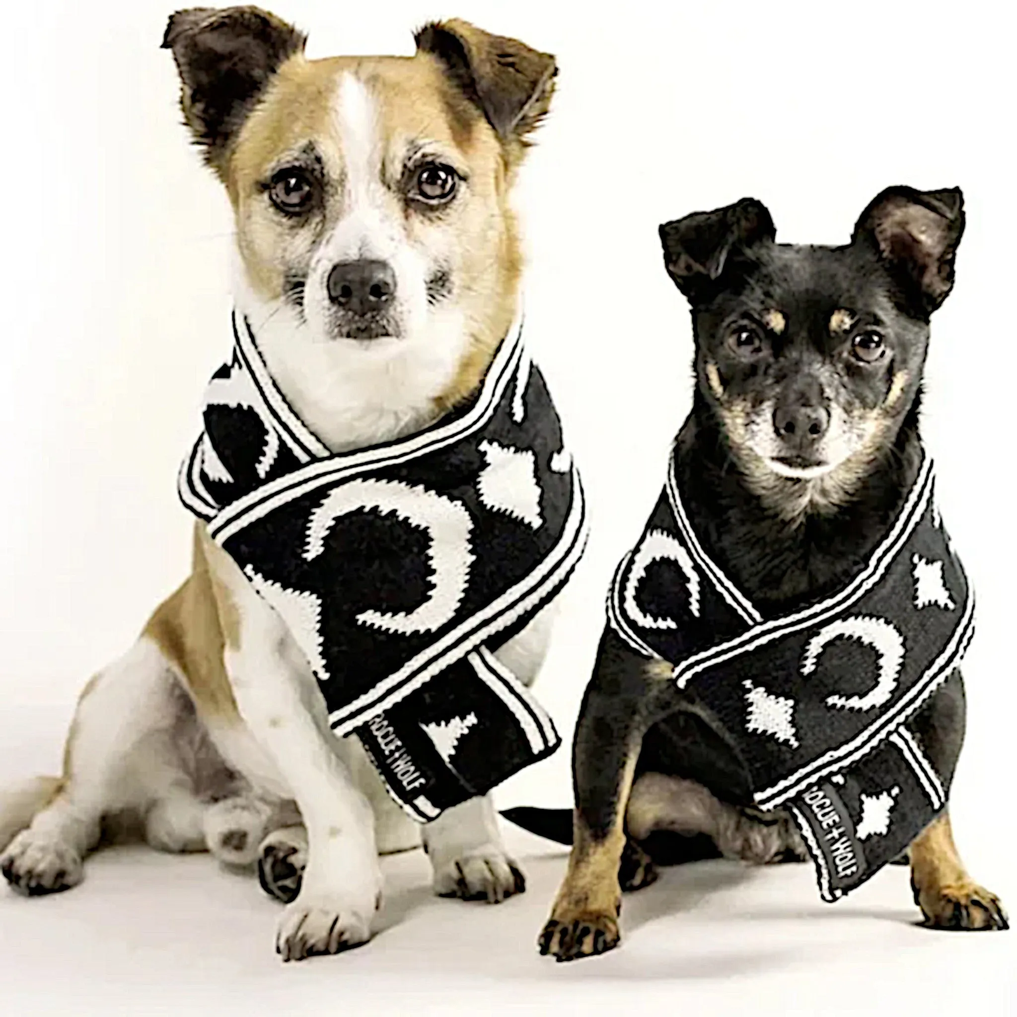 Rogue   Wolf Moon Pupper Celestial Pet Scarf | Black & White Starry Design