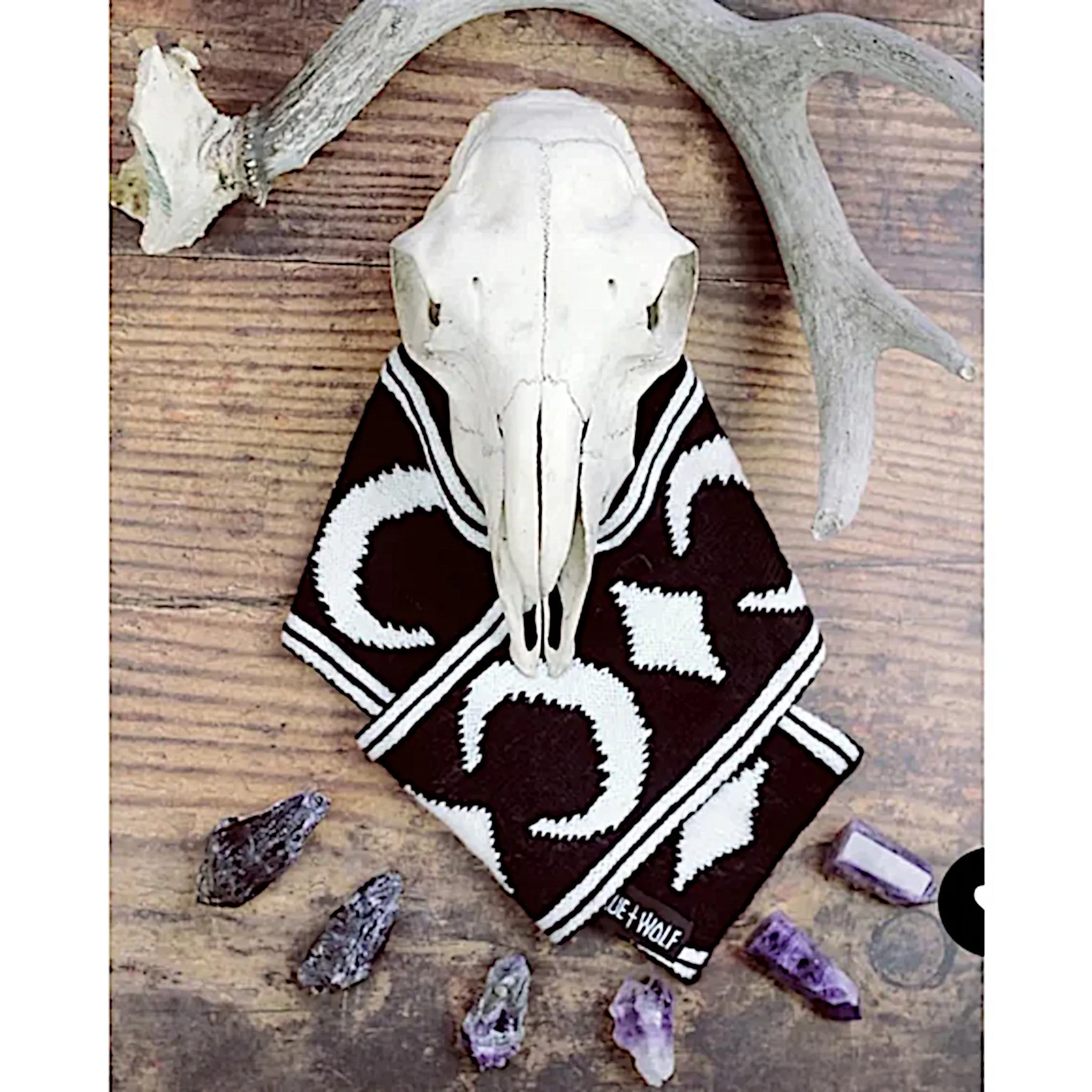 Rogue   Wolf Moon Pupper Celestial Pet Scarf | Black & White Starry Design