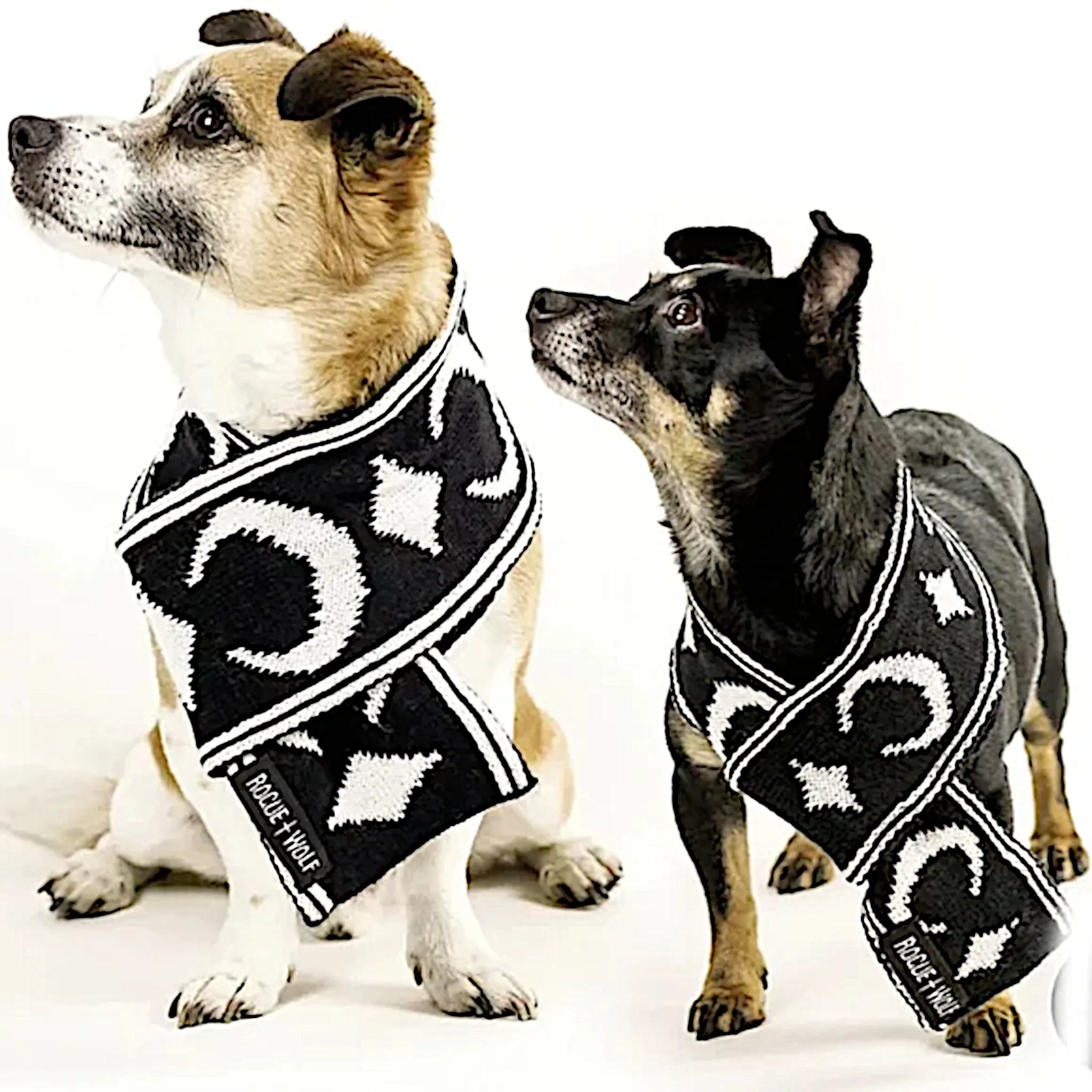 Rogue   Wolf Moon Pupper Celestial Pet Scarf | Black & White Starry Design