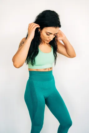 Seamless "OG" High-Waisted Leggings