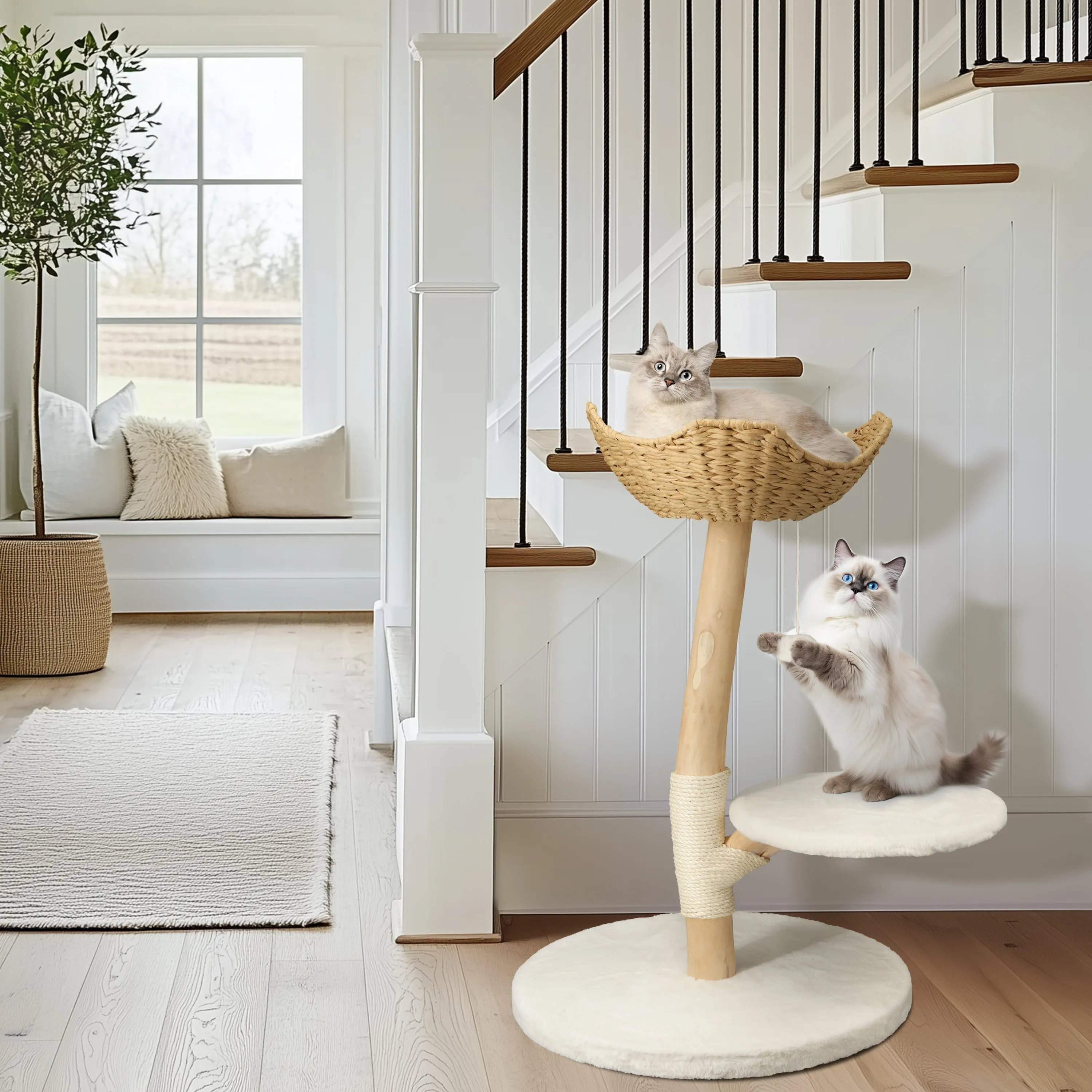 Solid Wood Cat Tree: Kitten Cat Tree Tree-like Activity Tower Center with Plush Cushion Cozy Rest Dangling Toy Ball Sisal Scratching Post for Indoor Cats