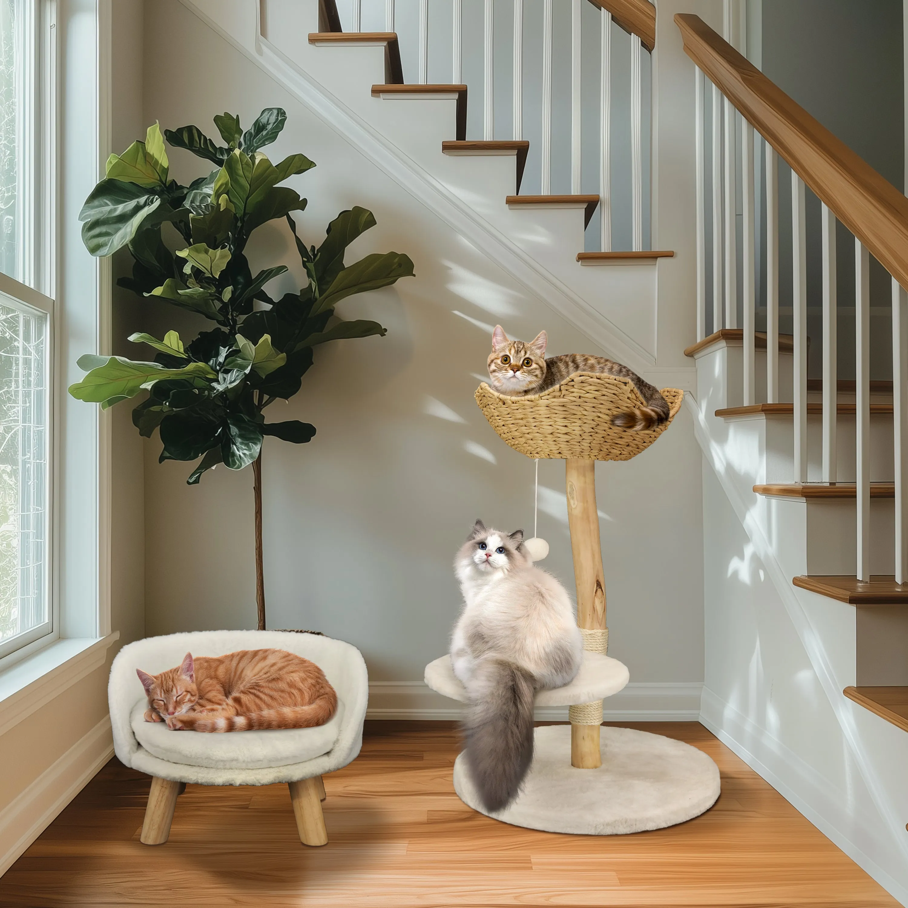 Solid Wood Cat Tree: Kitten Cat Tree Tree-like Activity Tower Center with Plush Cushion Cozy Rest Dangling Toy Ball Sisal Scratching Post for Indoor Cats